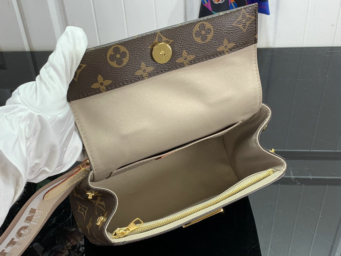 Louis Vuitton Cluny Mini M46055