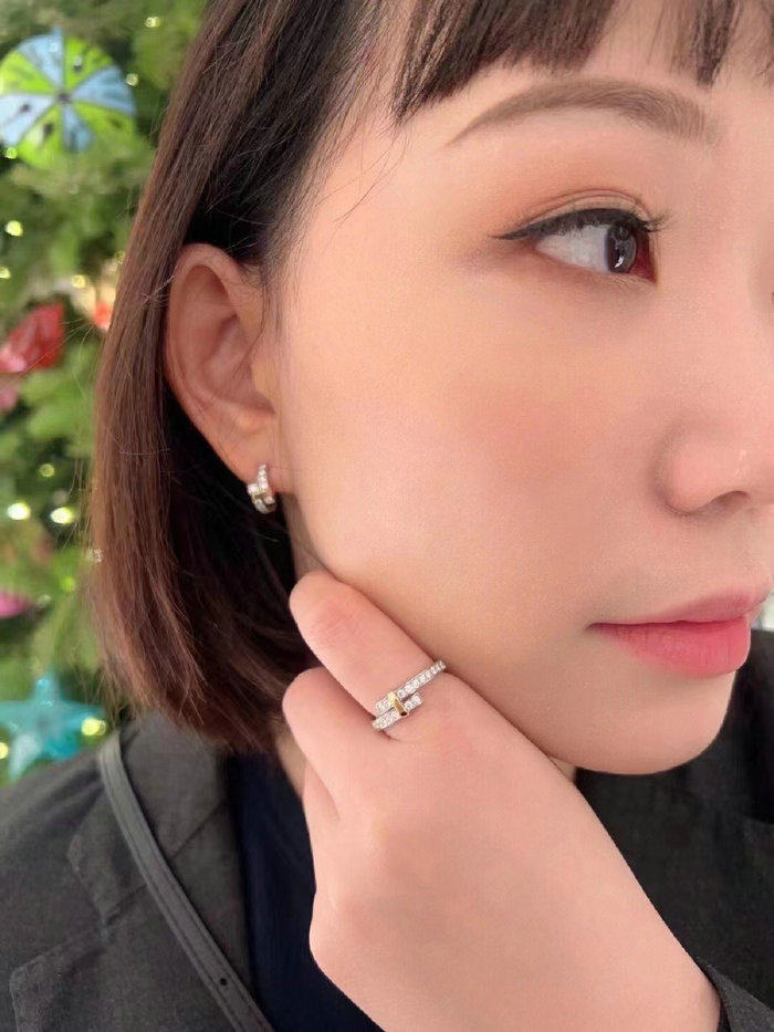 Tiffany Earrings TE04171