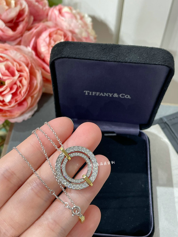 Tiffany Necklace TN04171