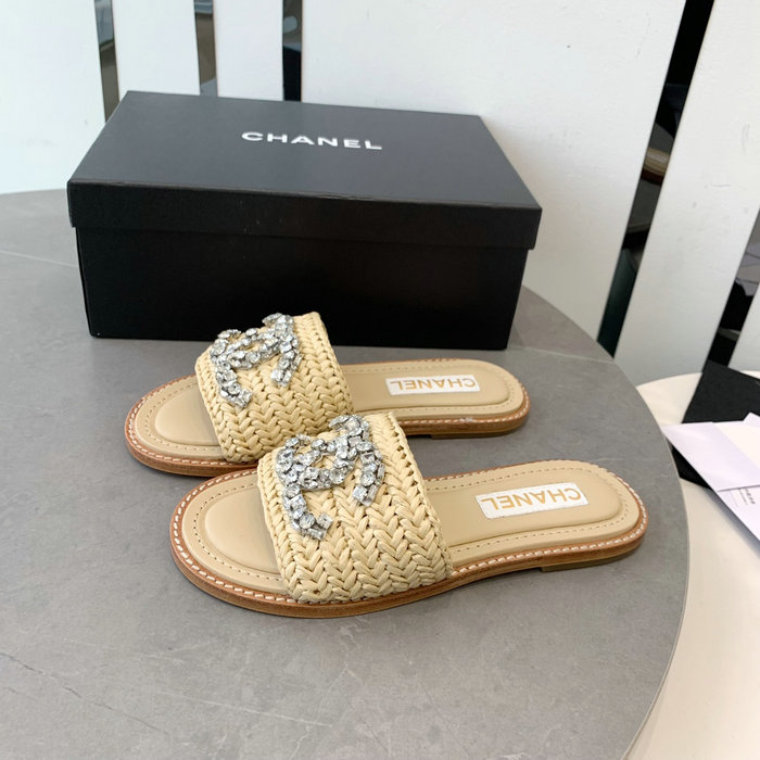 Chanel Slides SDC043003