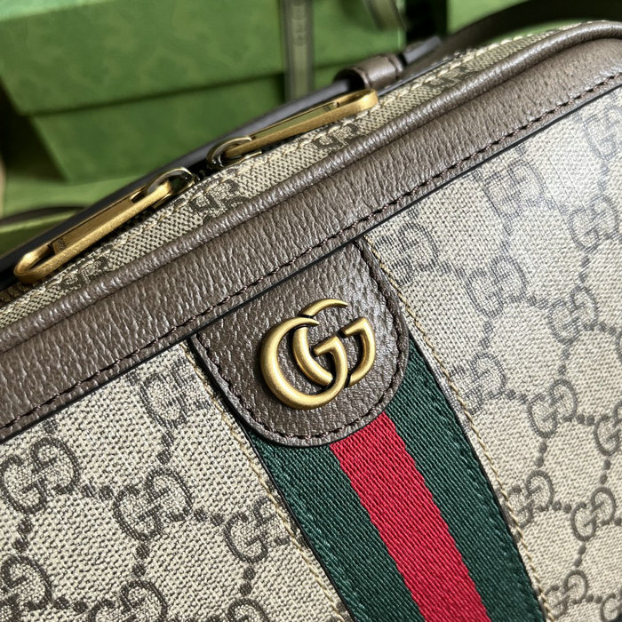 Gucci Ophidia small shoulder bag with Web Brown 739392