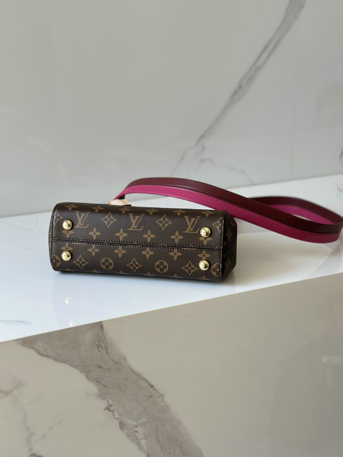 Louis Vuitton Cluny BB M42738