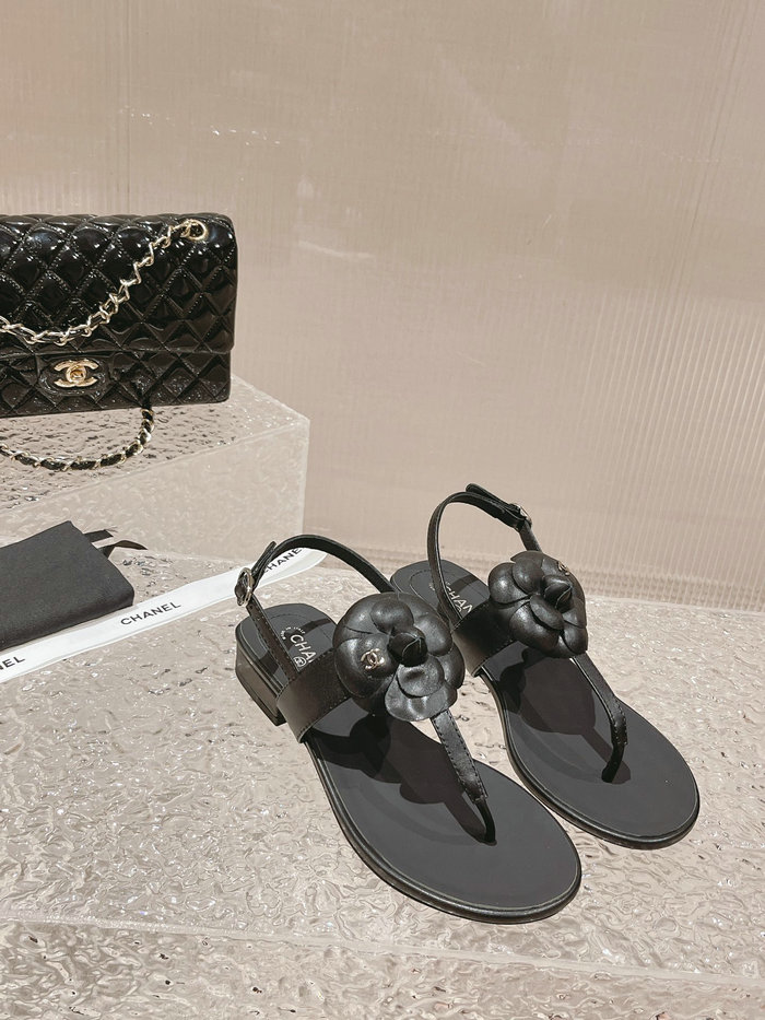 Chanel Sandals SNC051202