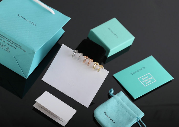 Tiffany Earrings TE051001