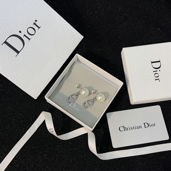 Dior Earrings DE052302