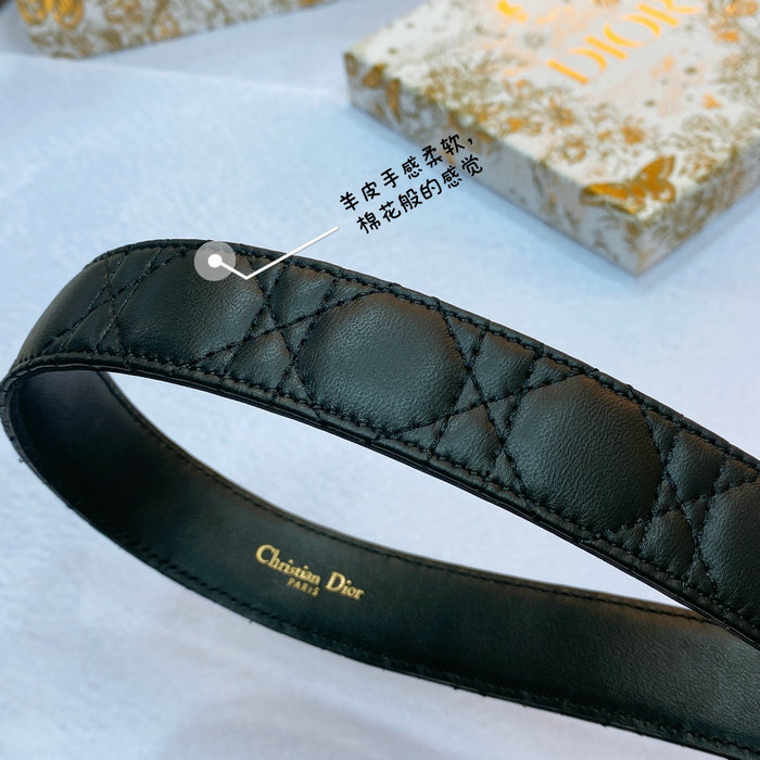 Dior Belt DB061401