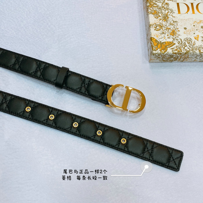 Dior Belt DB061402
