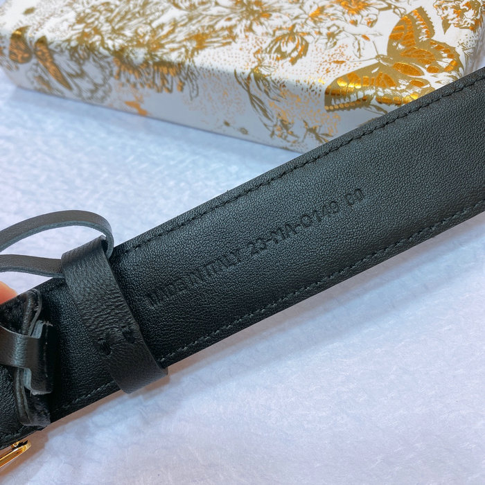 Dior Belt DB061402
