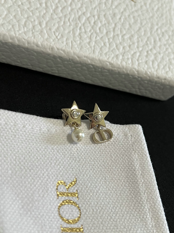 Dior Earrings JDE061401