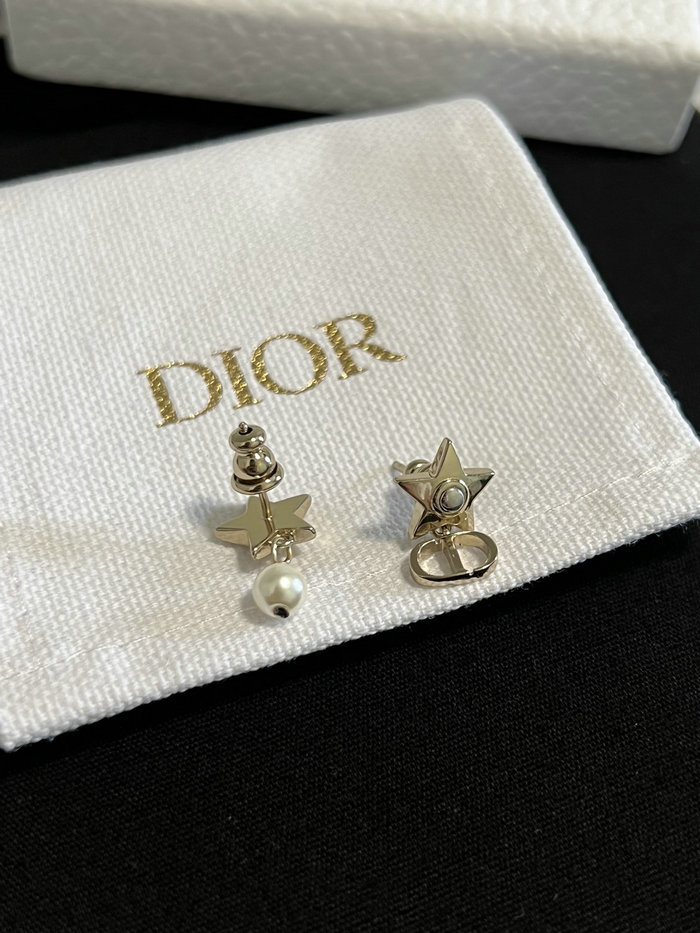 Dior Earrings JDE061401