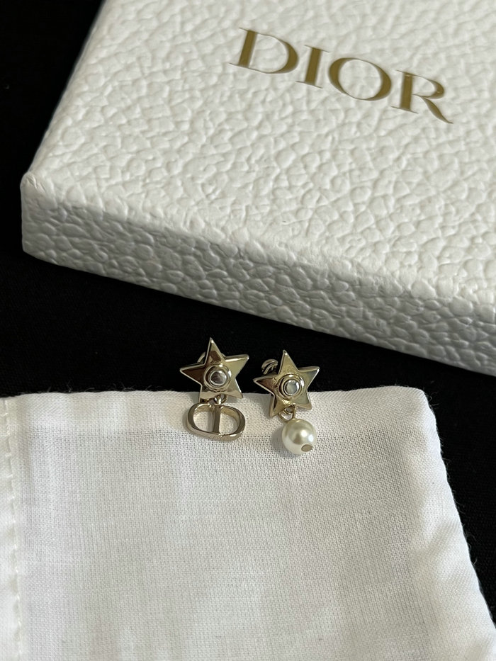 Dior Earrings JDE061401