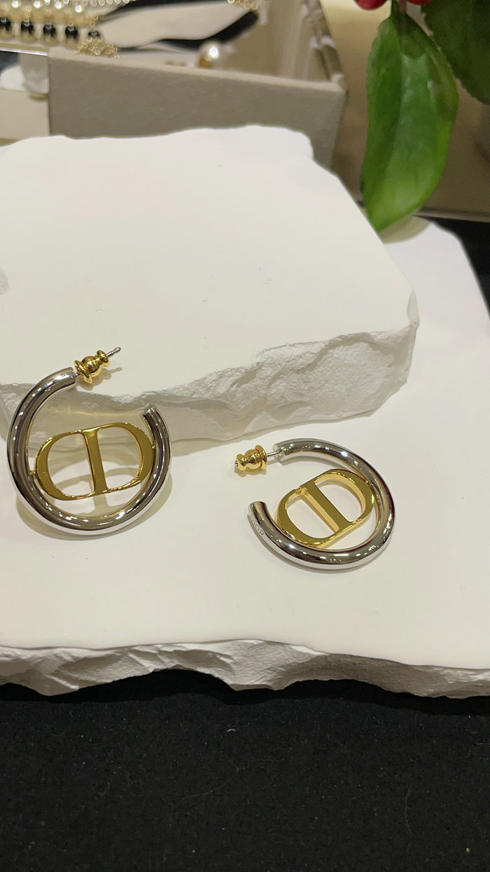 Dior Earrings JDE061402