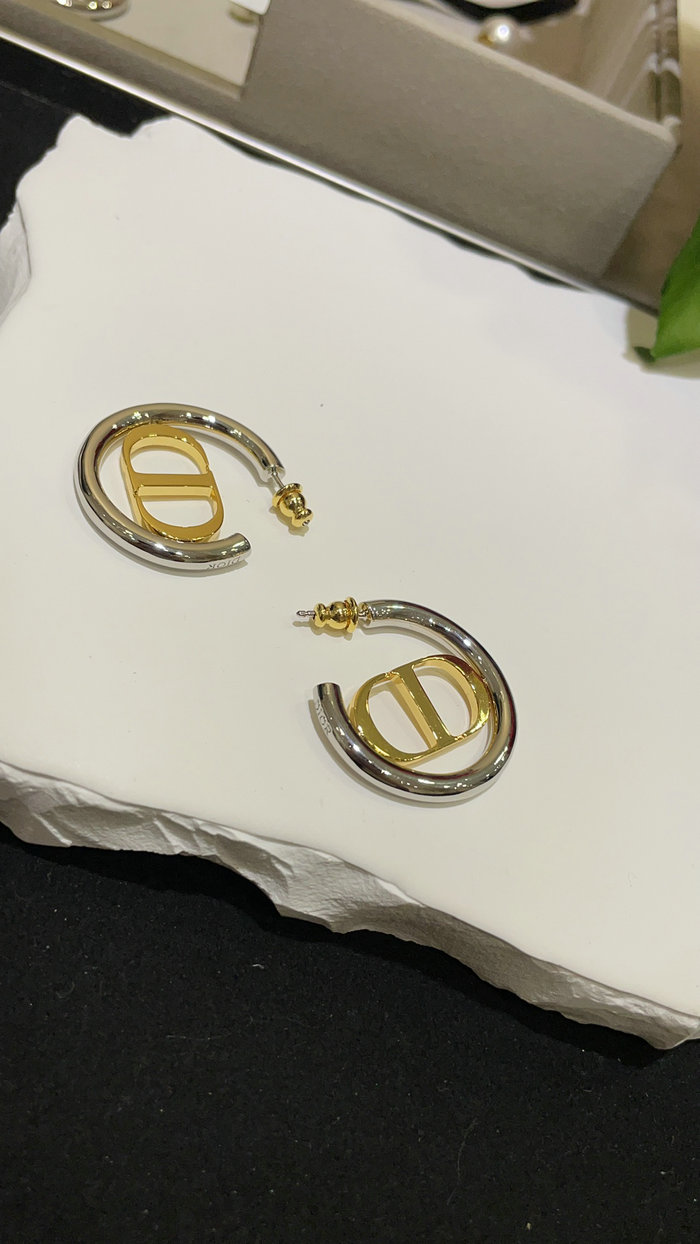 Dior Earrings JDE061402