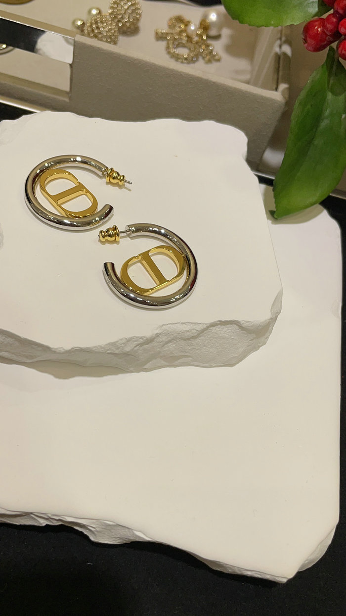 Dior Earrings JDE061402