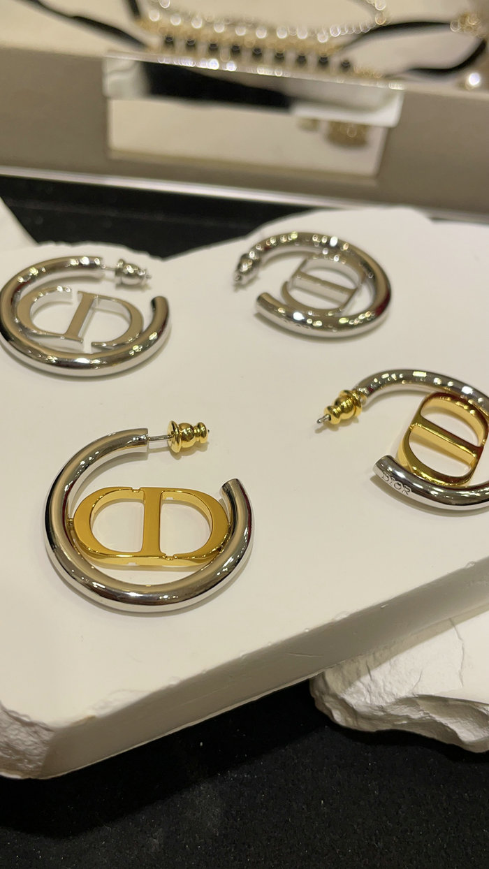 Dior Earrings JDE061402