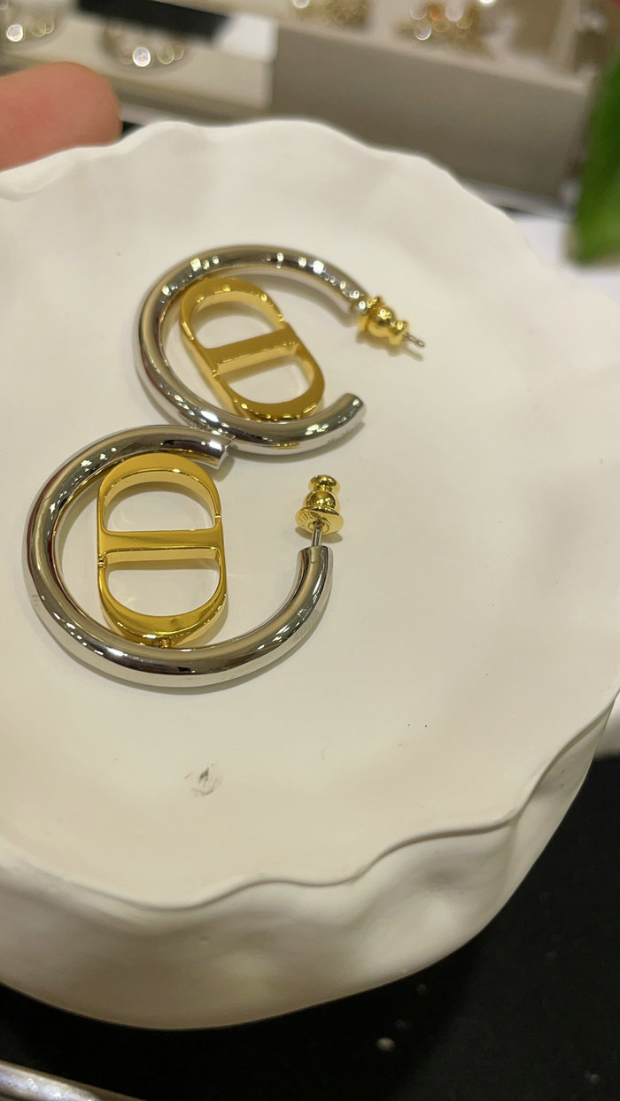 Dior Earrings JDE061402