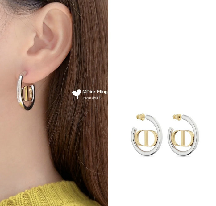 Dior Earrings JDE061402