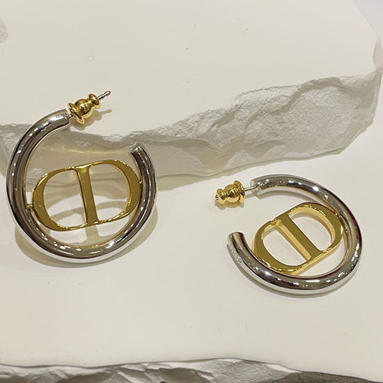 Dior Earrings JDE061402