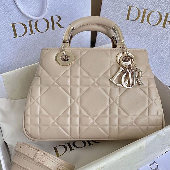 Dior Lady Handbag Pink D7501