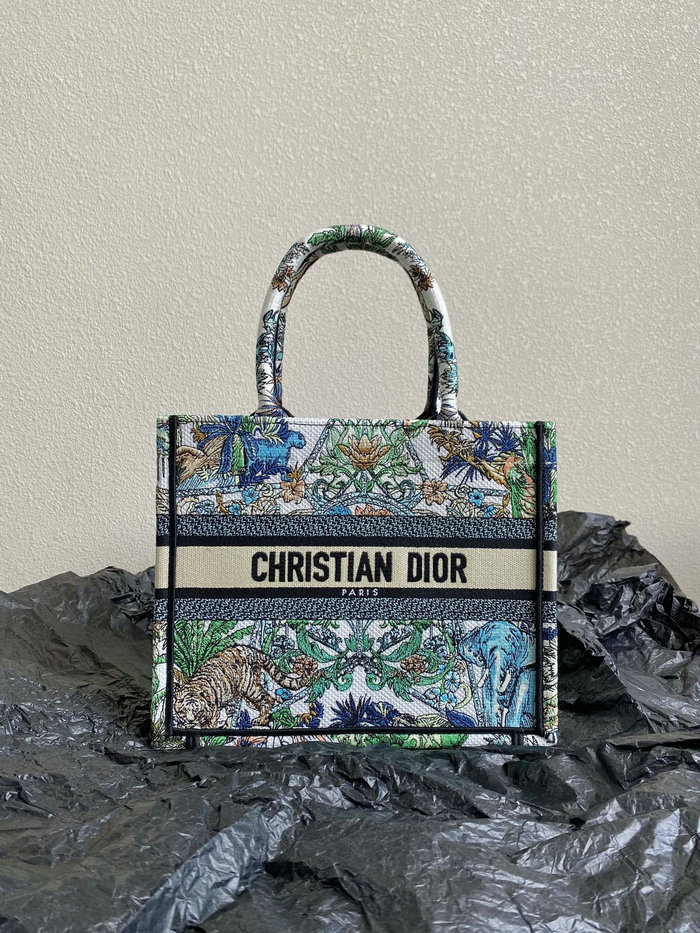 Small Dior Book Tote M1287D03