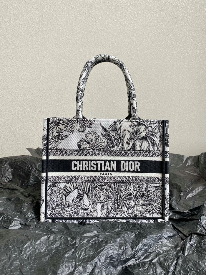 Small Dior Book Tote M1287D04