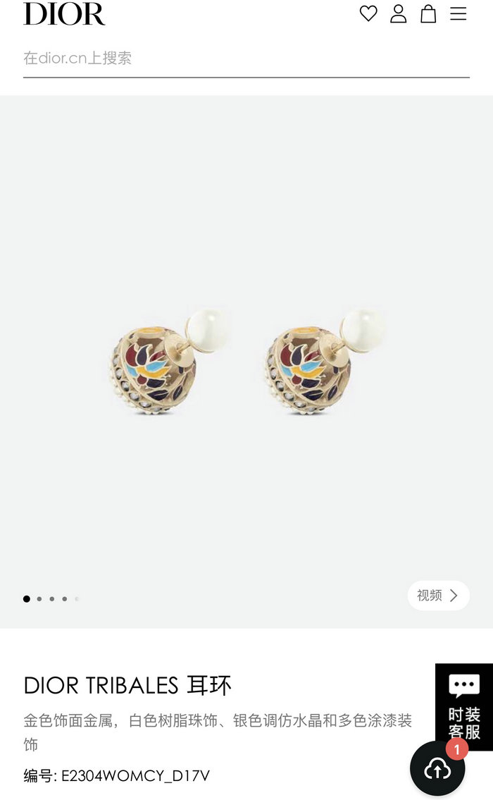 Dior Earrings JDE062203