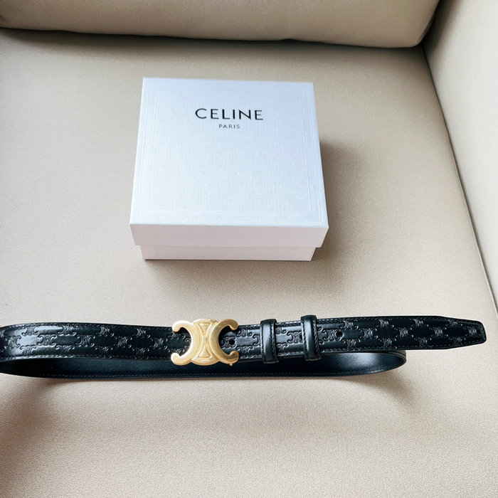 Celine Belts CB062803