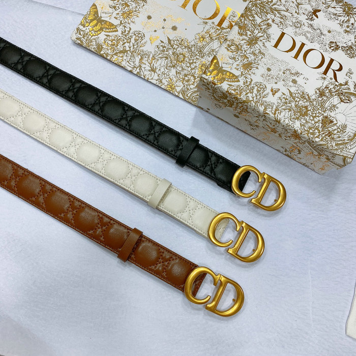 Dior Belt DB062803