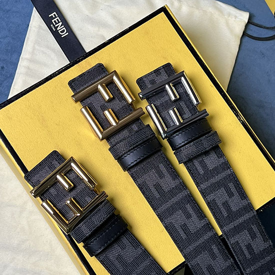 Fendi Belt FB062803