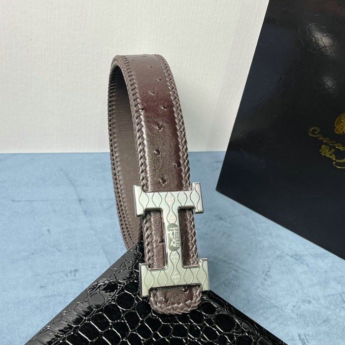 Hermes Belt HB062810