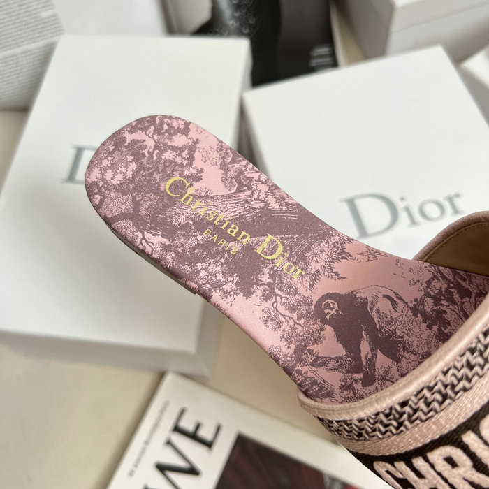 Dior Slippers SJD070701