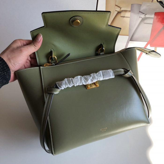 Celine Box Leather Micro Belt Bag Green CB24