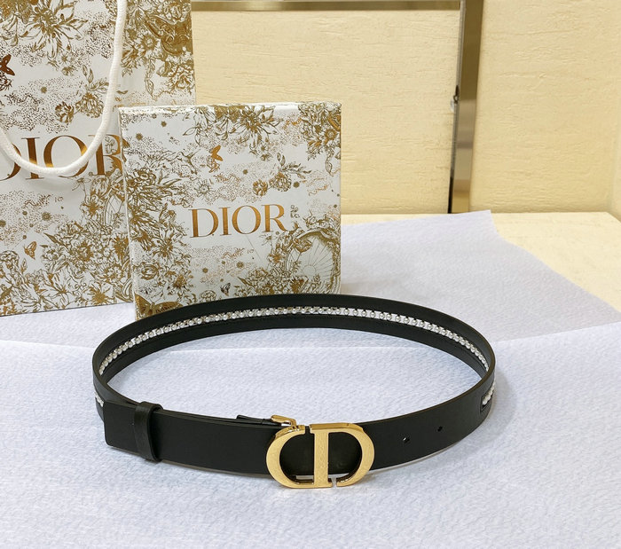 Dior 30 Montaigne Belt DB080201
