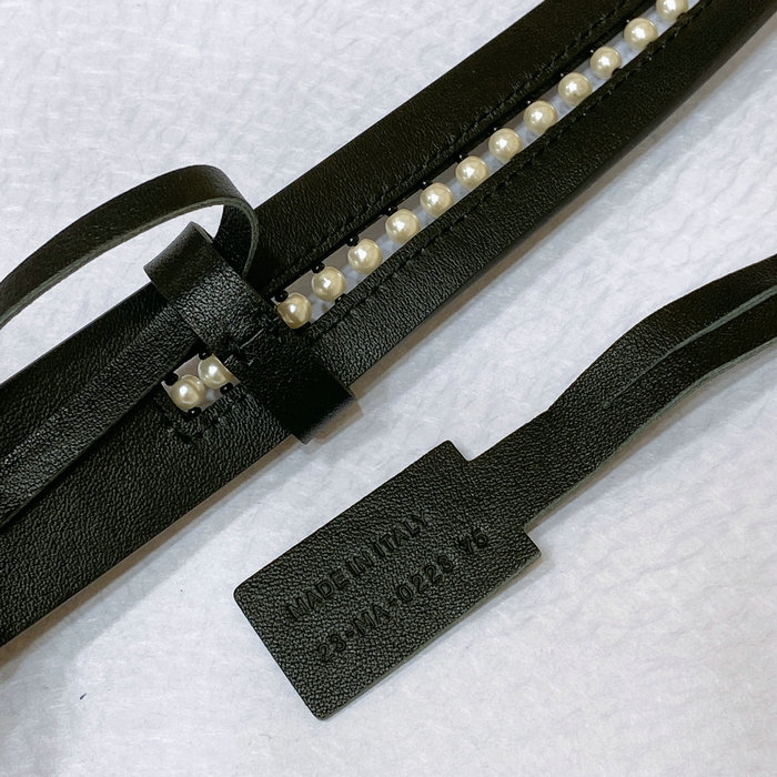 Dior 30 Montaigne Belt DB080202