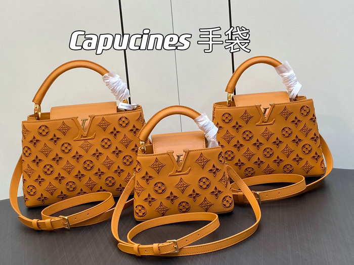 Louis Vuitton Capucines Mini Brown M22863