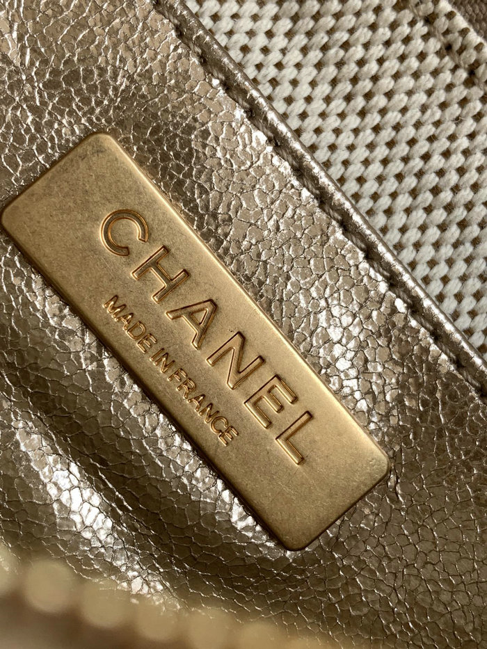 Chanel Gold Bronze Metal Leather Coin Evening Bag AS2308