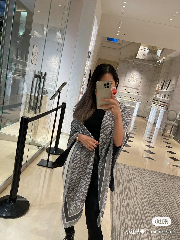 Dior Scarf DS080803