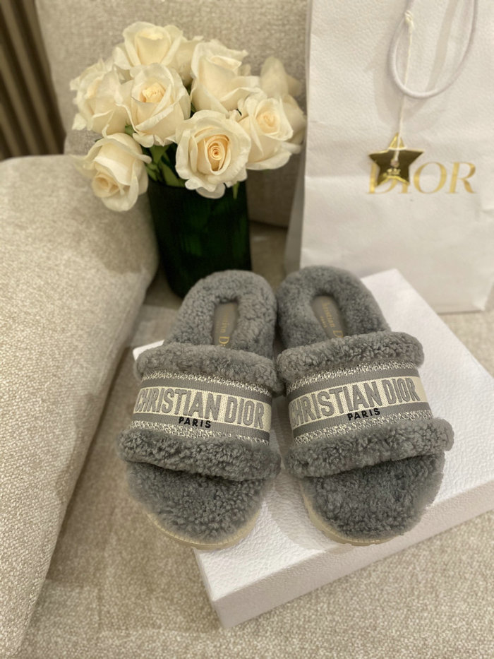 Dior Slippers SND080904