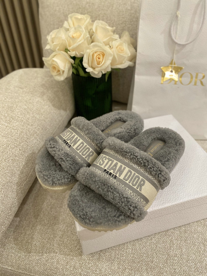 Dior Slippers SND080904