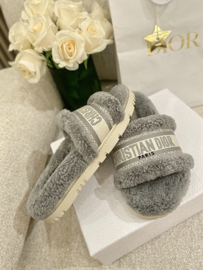 Dior Slippers SND080904