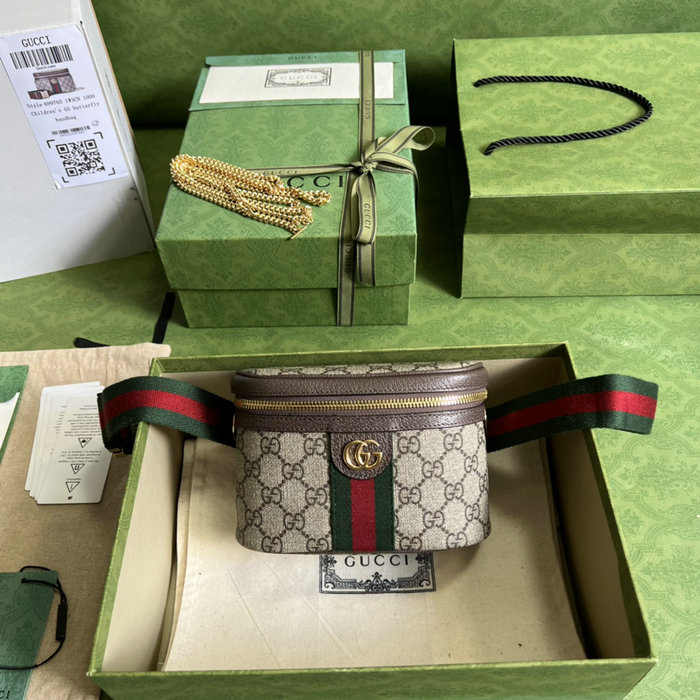 Gucci Ophidia Belt Bag with Web 699765