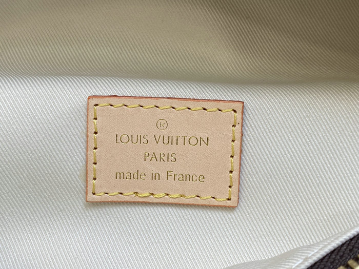 Louis Vuitton High Rise M46784