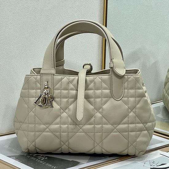 Small Dior Toujours Bag Biege M2822