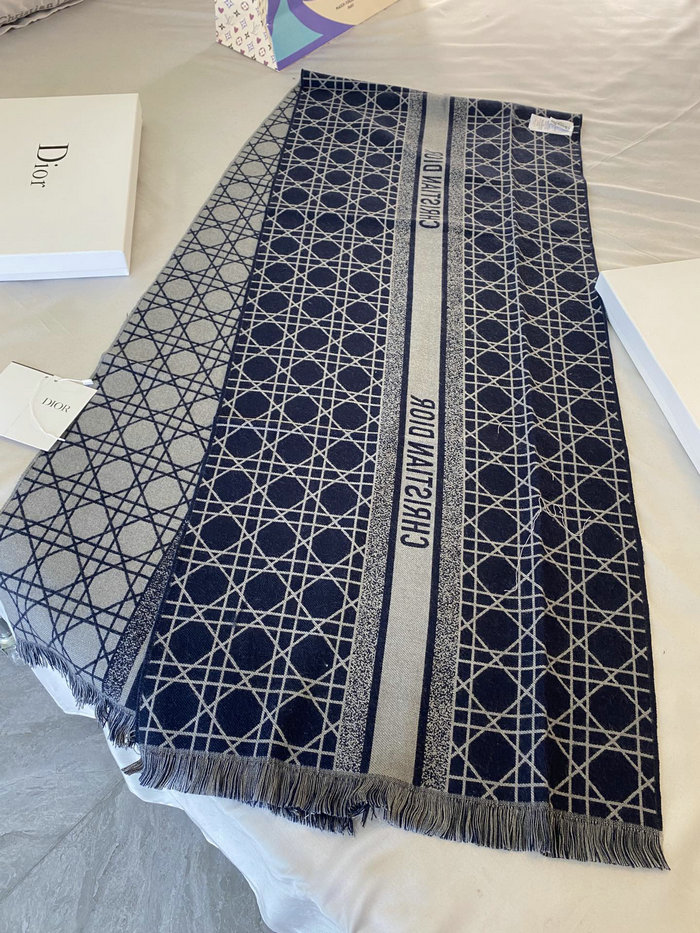 Dior Scarf DS091301