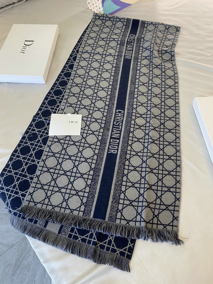 Dior Scarf DS091301