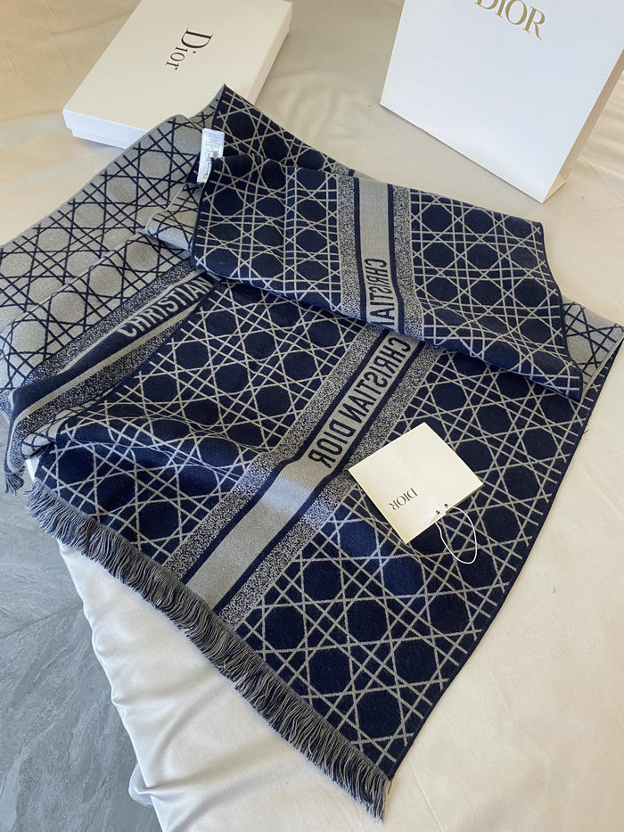 Dior Scarf DS091301