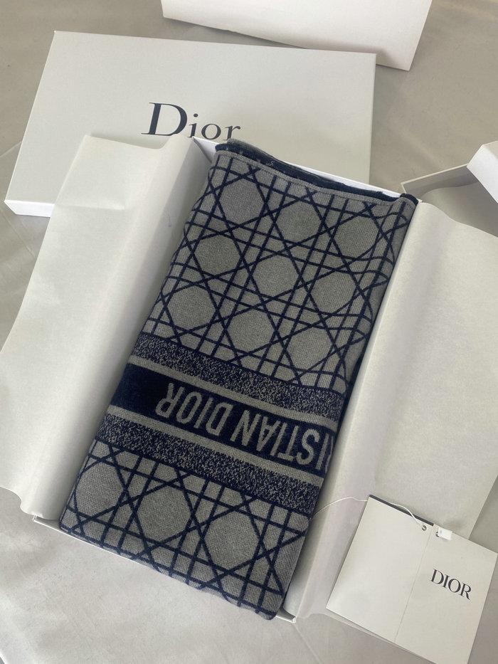Dior Scarf DS091301