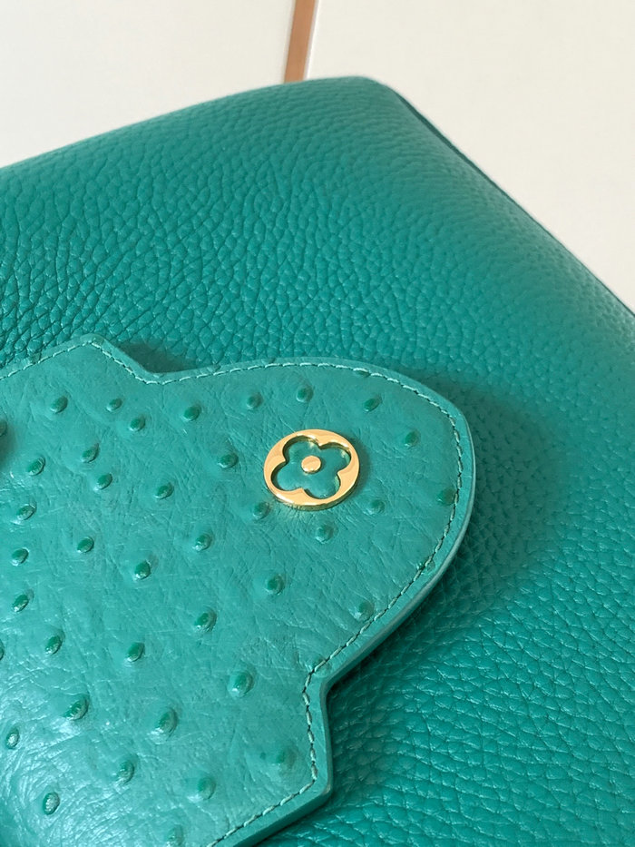 Louis Vuitton Capucines BB Bag Green N81409