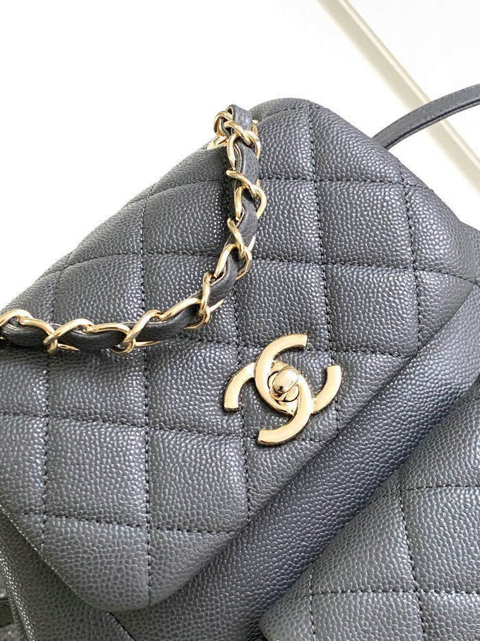 Chanel Backpack Grey AS4398