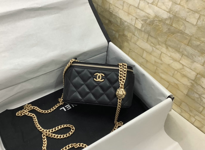 Chanel Vanity Case AP3301